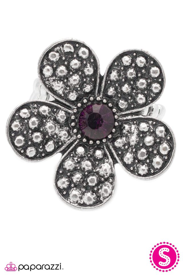 Paparazzi ♥ Haute and Heated - Purple ♥ Ring