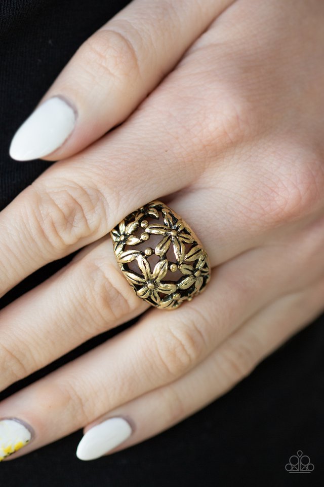 Paparazzi ♥ Haute Havana - Brass ♥ Ring