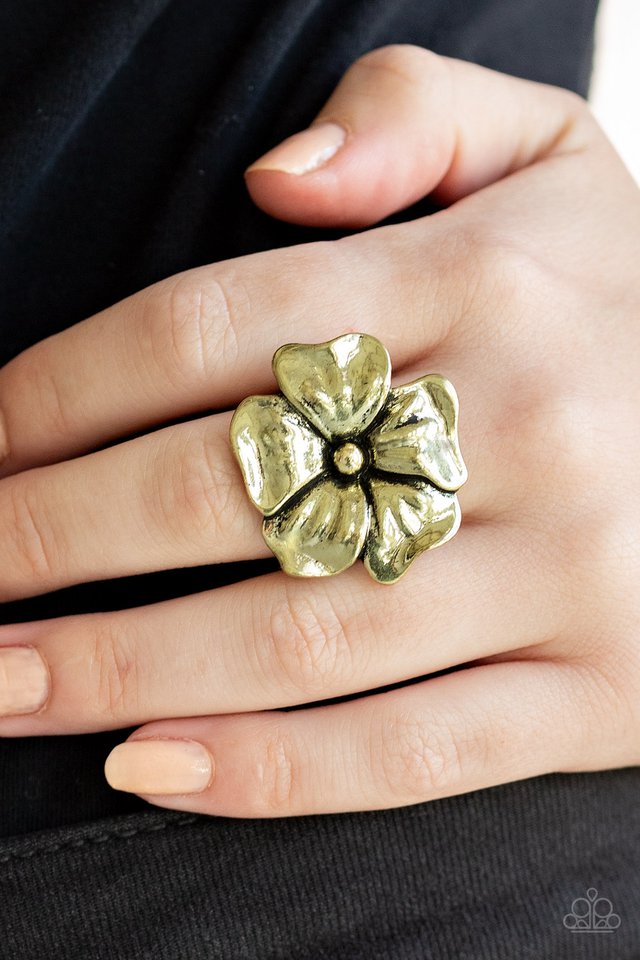 Paparazzi ♥ Tropical Gardens - Brass ♥ Ring