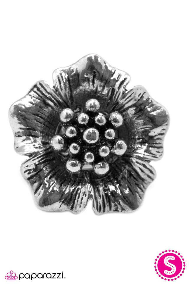 Paparazzi ♥ Every Last Detail - Silver ♥ Ring