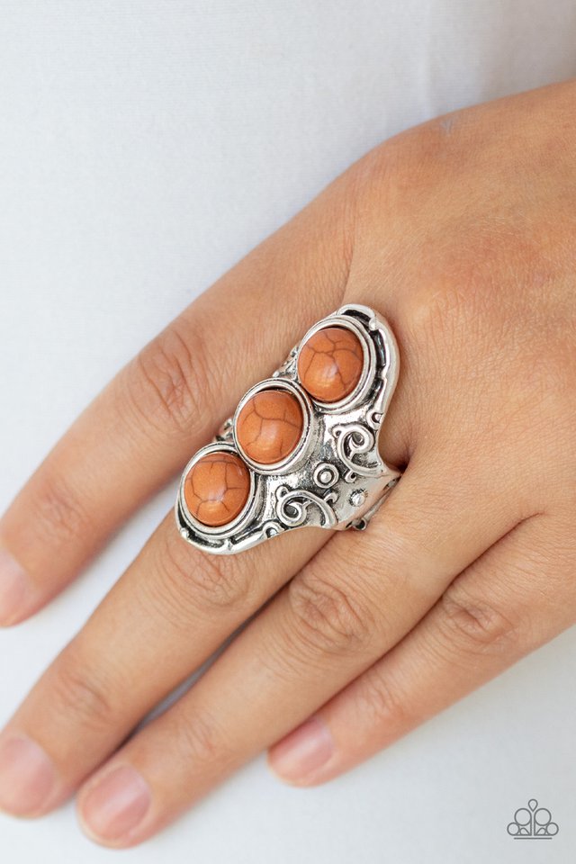 Paparazzi ♥ Sahara Soul - Brown ♥ Ring