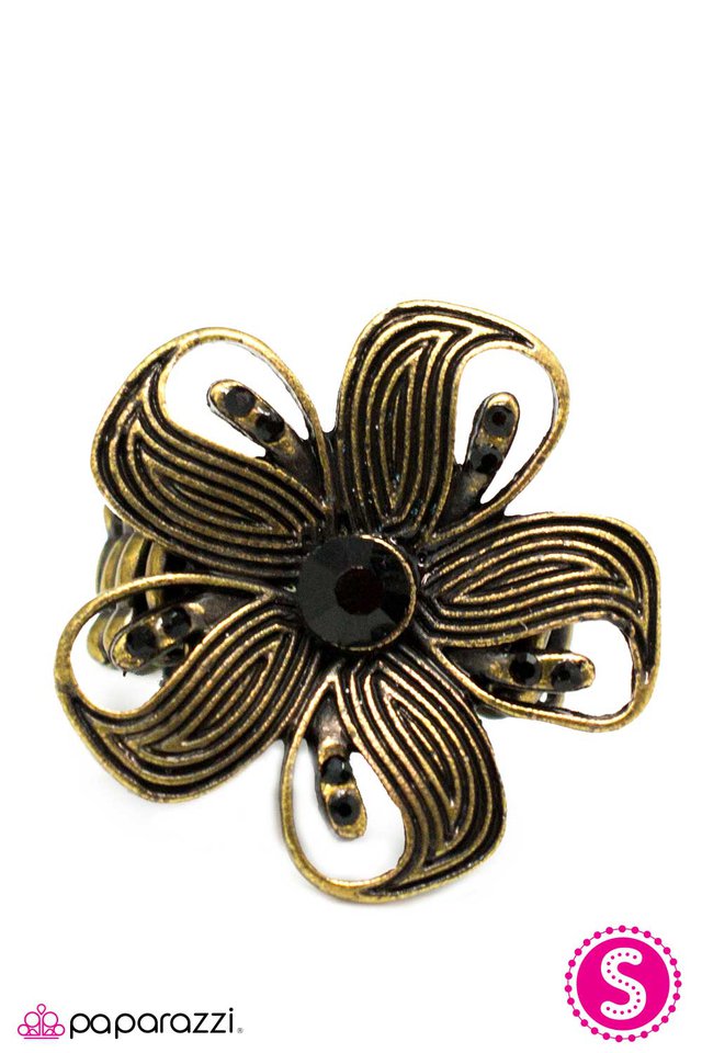 Paparazzi ♥ Epiphany - Brass ♥ Ring