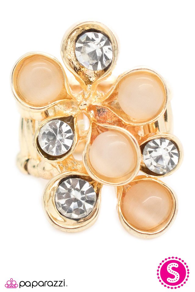 Paparazzi ♥ Pretty In Peach - Gold ♥ Ring