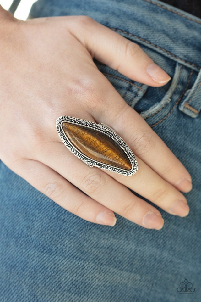 Paparazzi ♥ Mineral Mine - Brown ♥ Ring