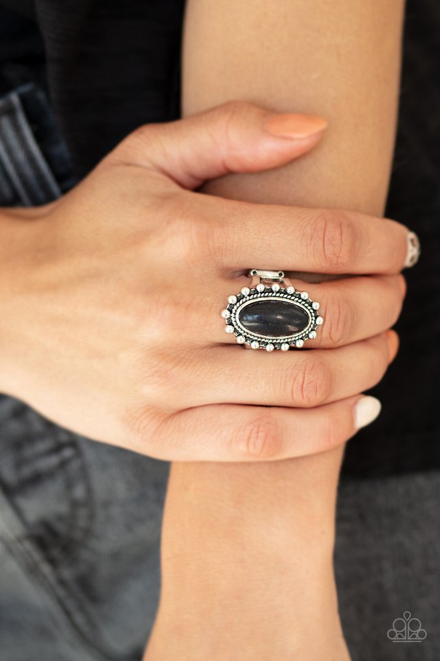 Paparazzi ♥ Mineral Movement - Black ♥ Ring