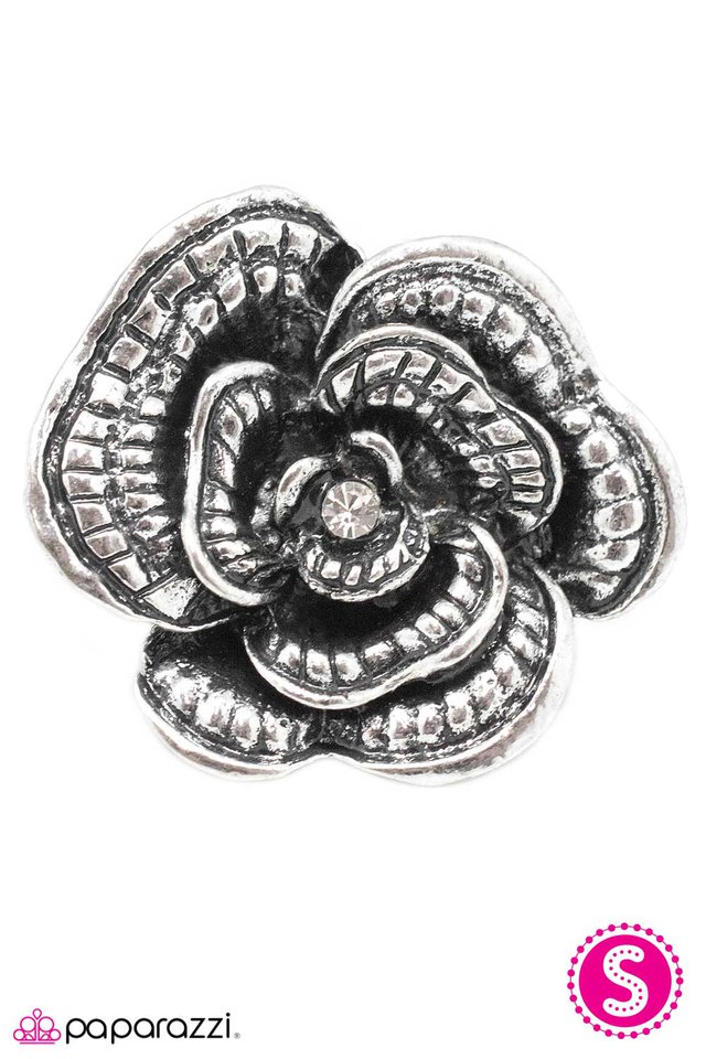 Paparazzi ♥ Uncommon Ground - Silver ♥ Ring
