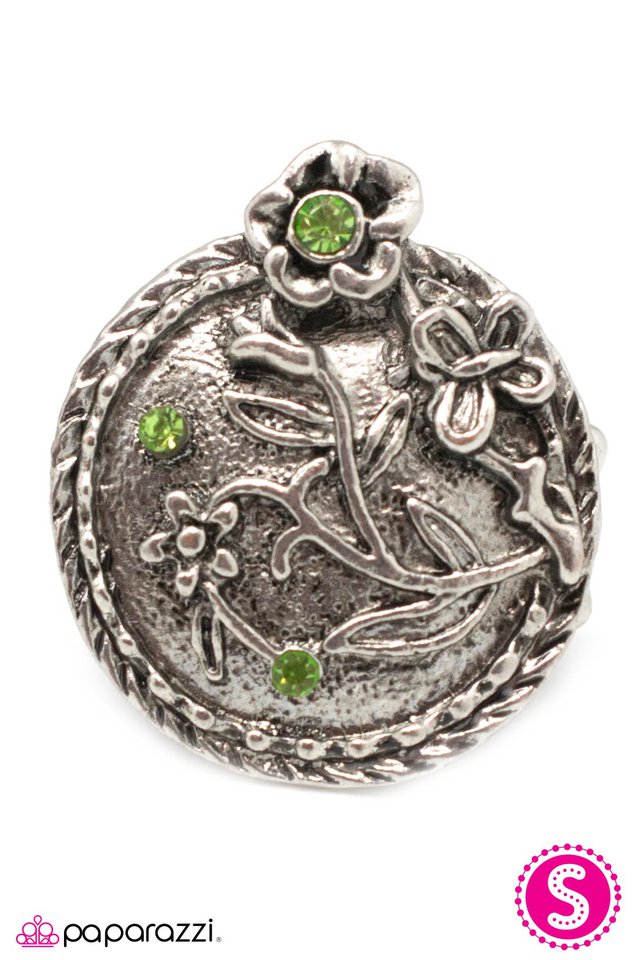 Paparazzi ♥ Yosemite - Green ♥ Ring
