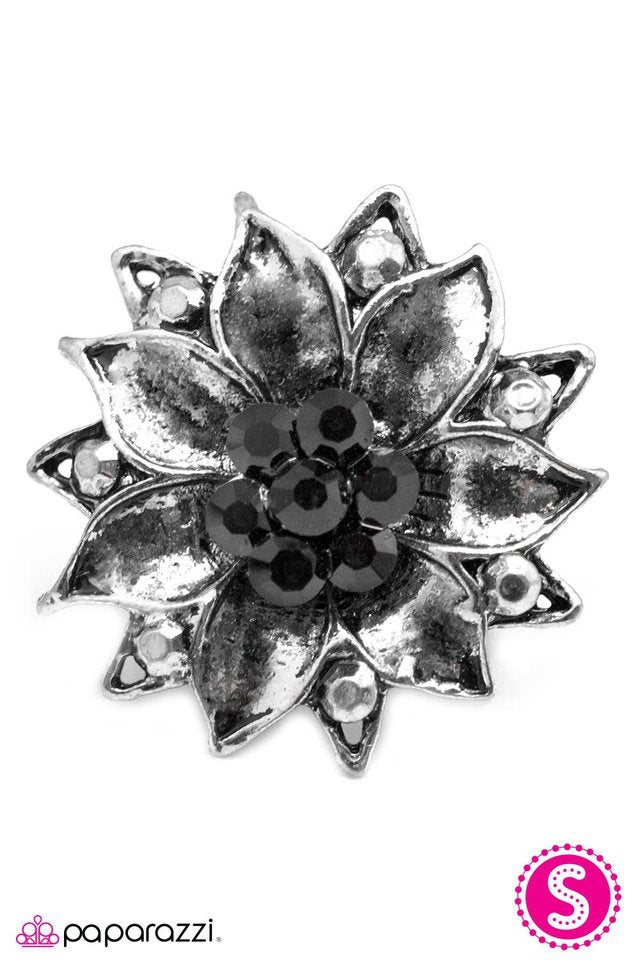 Paparazzi ♥ Bewitched - Black ♥ Ring