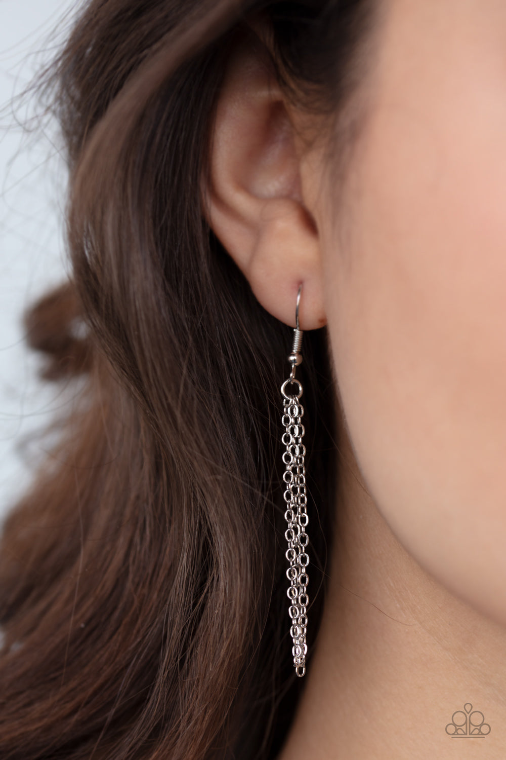 Paparazzi ♥ Land Of The Free - Silver ♥ Necklace