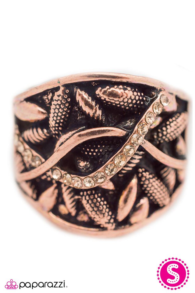 Paparazzi ♥ A Refined Taste - Copper ♥ Ring