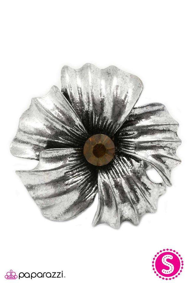 Paparazzi ♥ Take Your Pick - Brown ♥ Ring