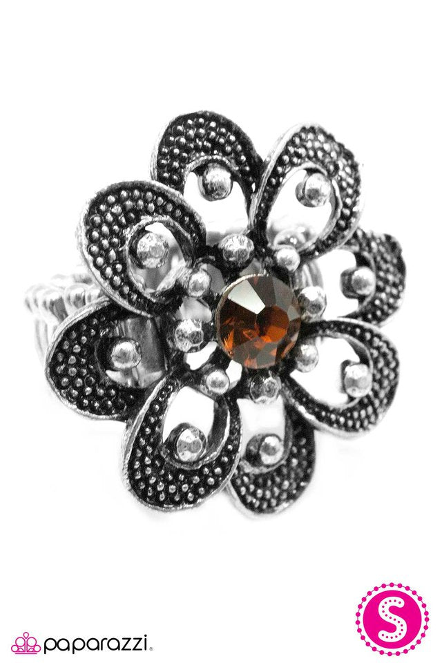 Paparazzi ♥ Growing Admiration - Brown ♥ Ring