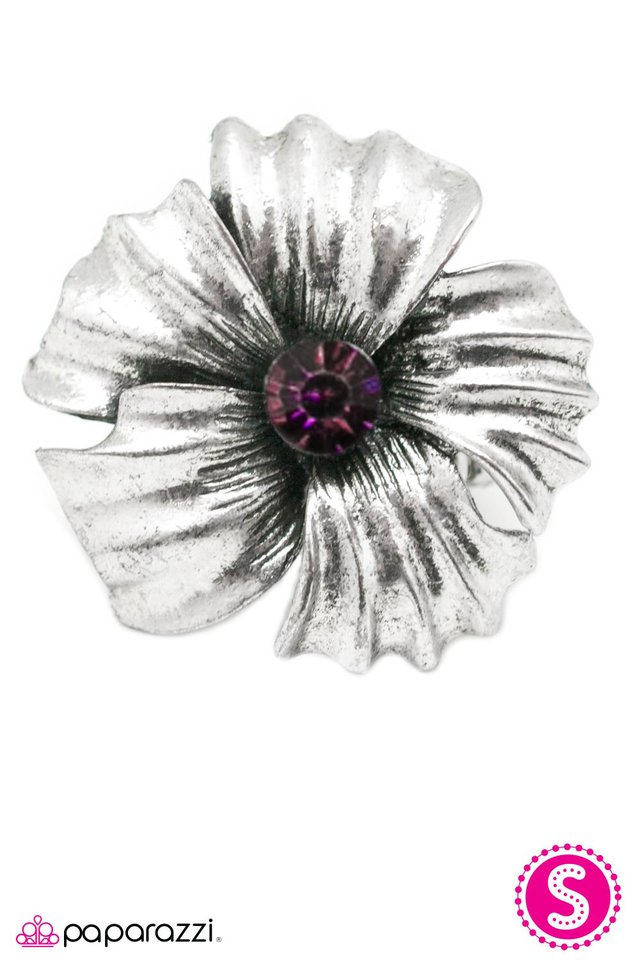 Paparazzi ♥ Take Your Pick - Purple ♥ Ring
