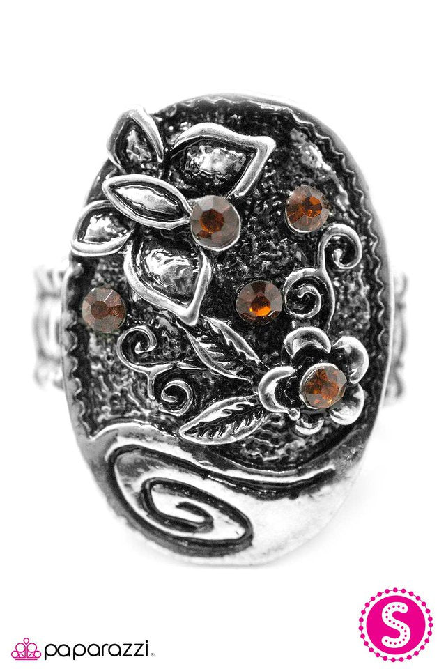 Paparazzi ♥ Forever And A Day - Brown ♥ Ring