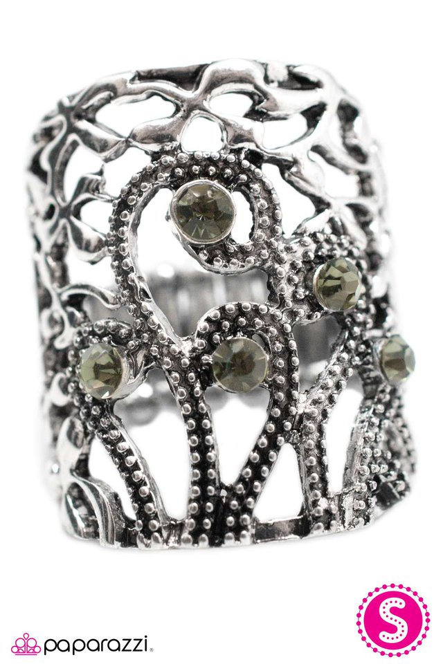 Paparazzi ♥ Sitting Parkside - Silver ♥ Ring
