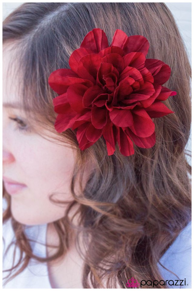 the-scarlet-letter-p7ca-rdxx-026xx