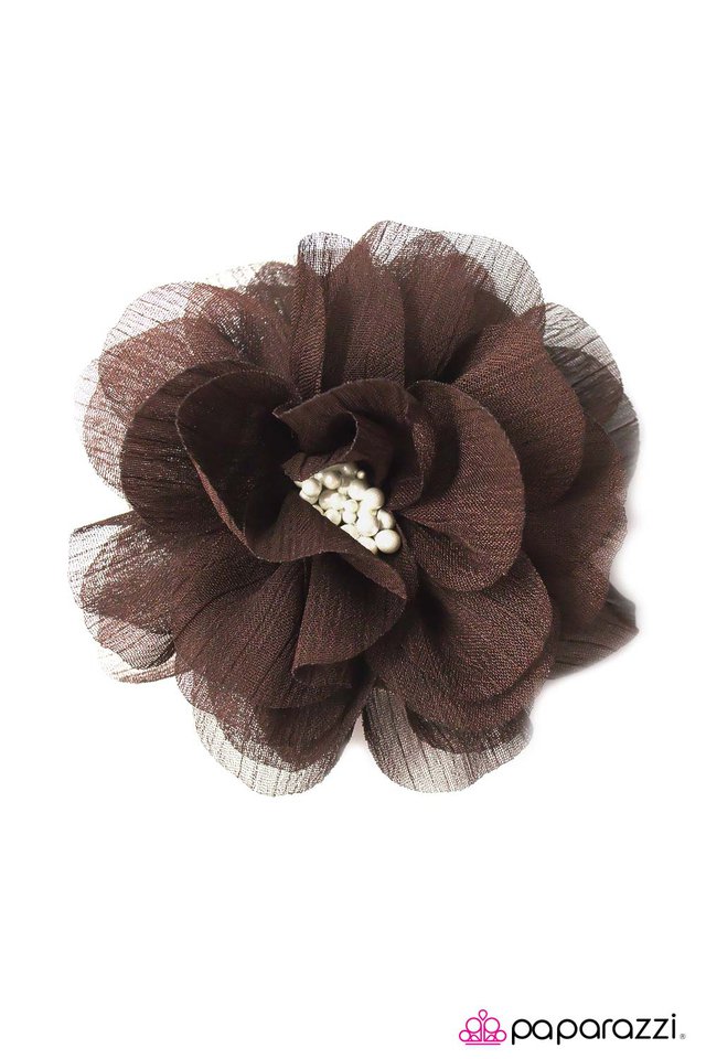 Paparazzi ♥ Moment of Truth - Brown ♥ Hair Clip