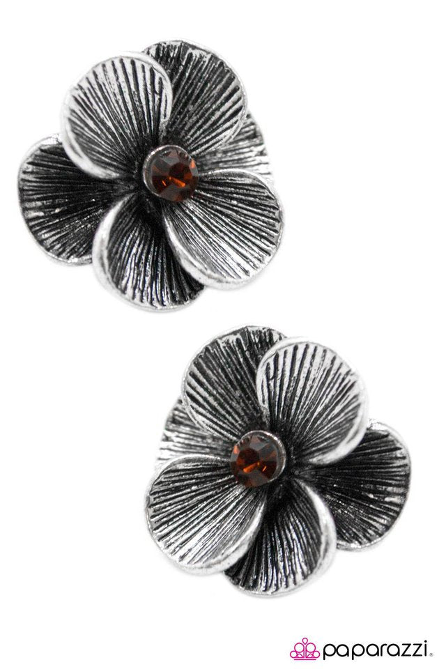 Paparazzi ♥ Ella Enchanted - Brown ♥ Clip-On