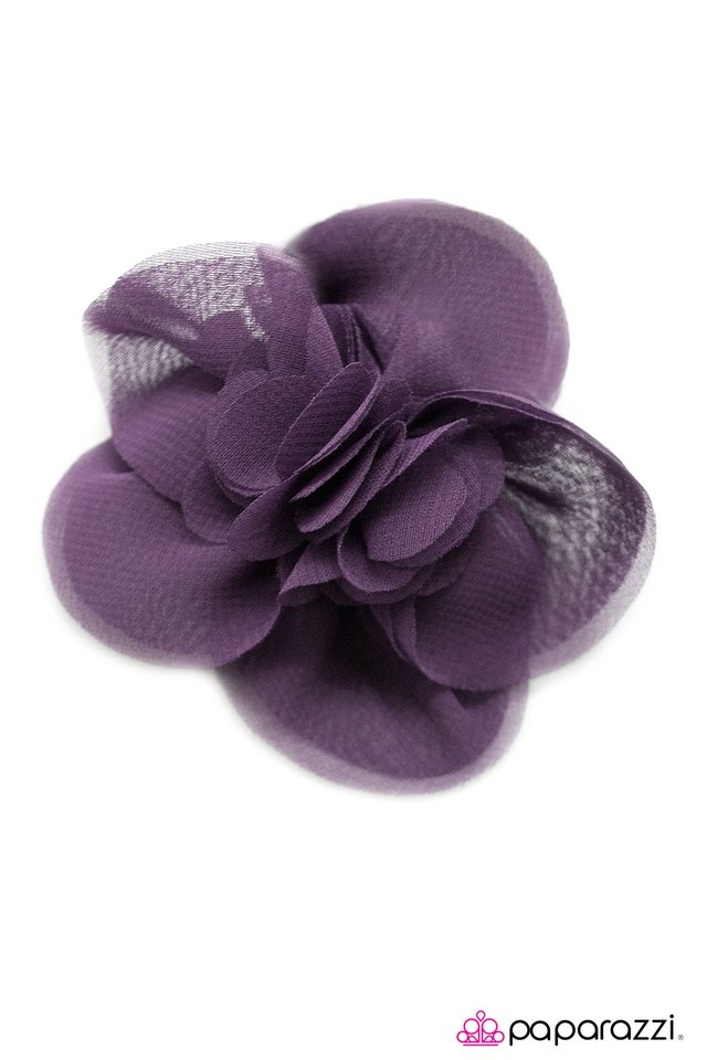 Paparazzi ♥ Bookworm - Purple ♥ Hair Clip