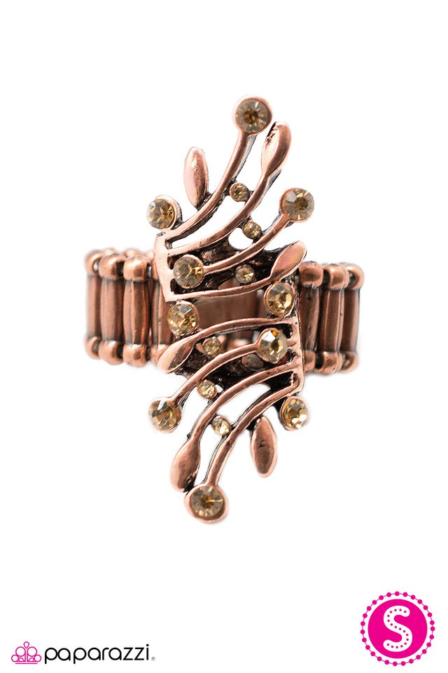 Paparazzi ♥ Talk of The Town - Copper ♥ Ring