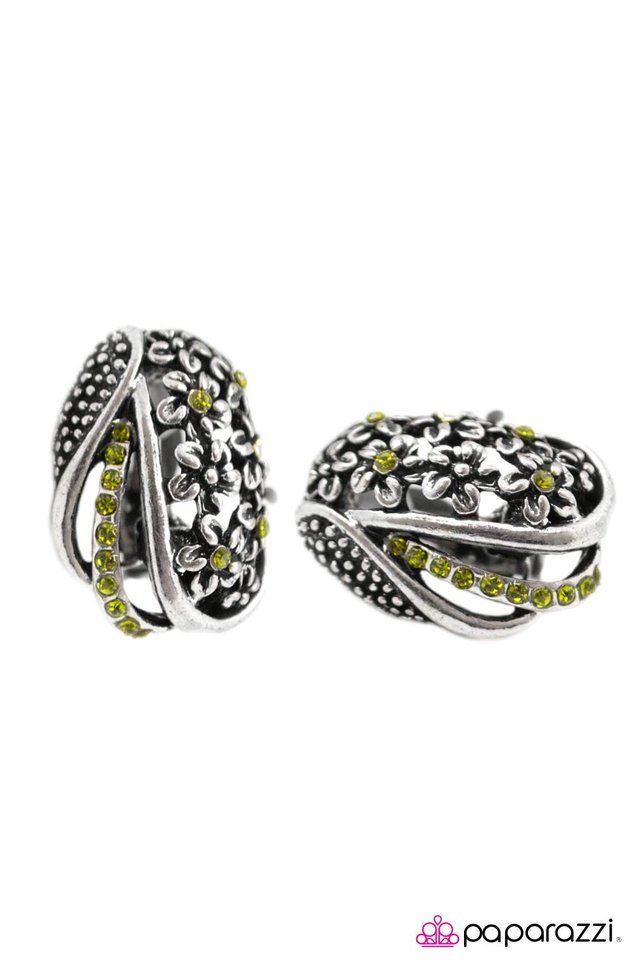 Paparazzi ♥ How The Story Goes - Green ♥ Clip-On