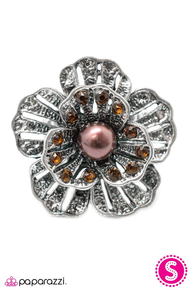 Paparazzi ♥ Vanity Fair - Brown ♥ Ring