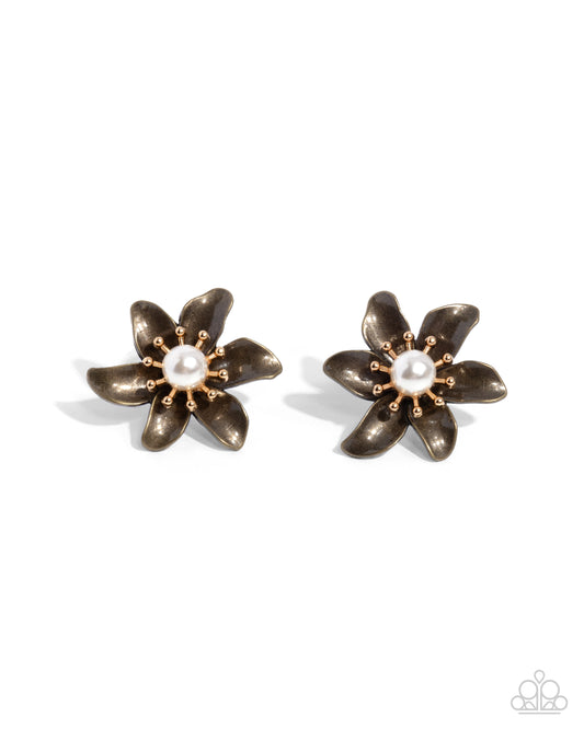 well-established-whimsy-brass-82358-p5po-brxx-081xx