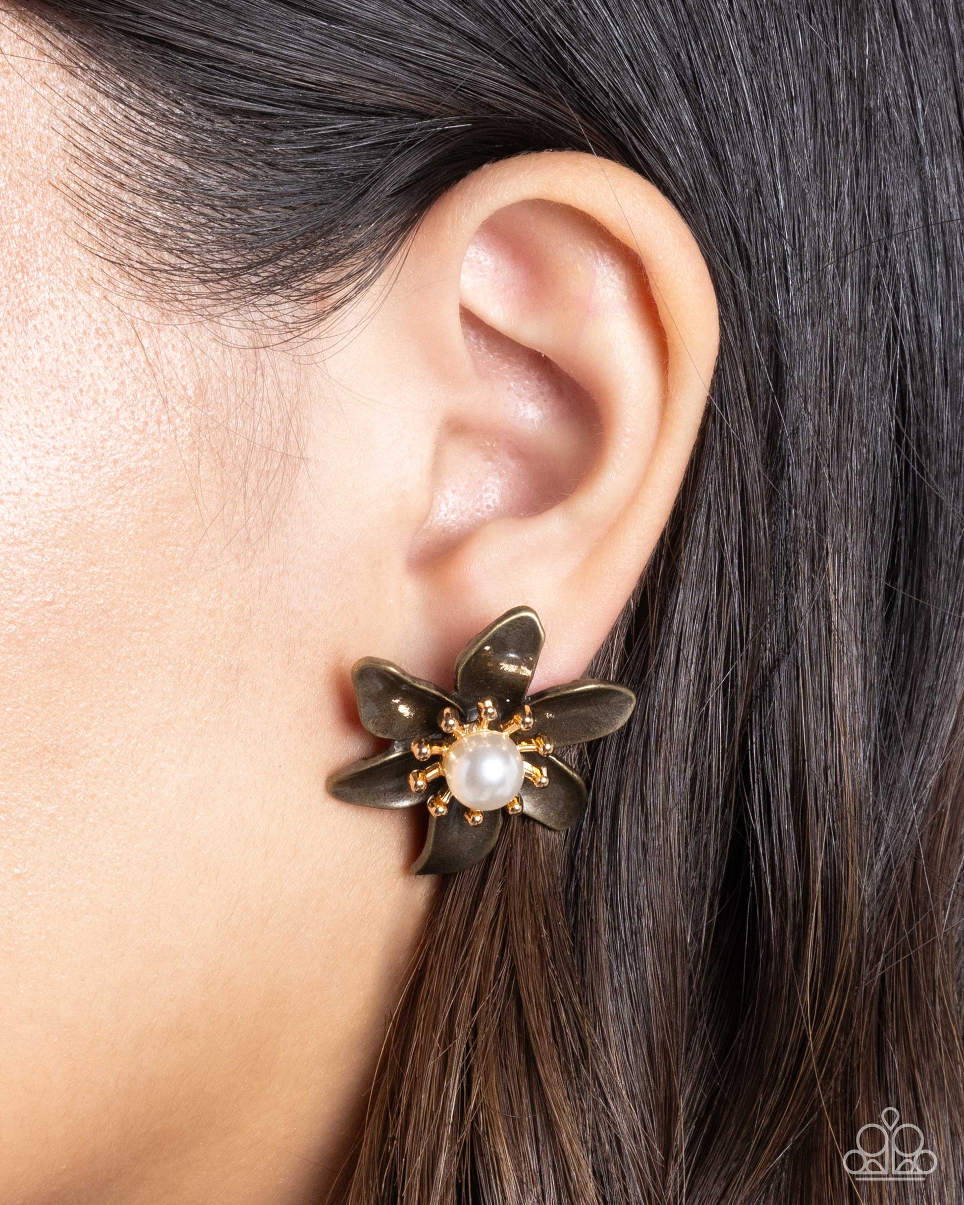 well-established-whimsy-brass-82358-p5po-brxx-081xx