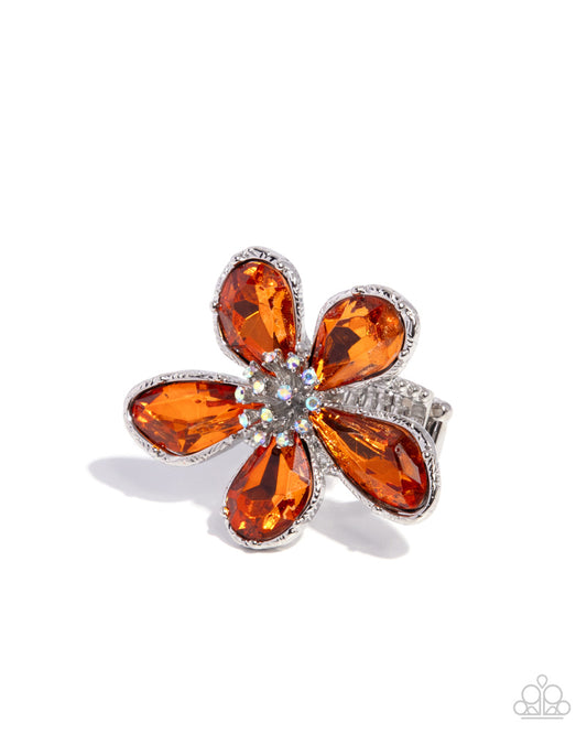 daily-drama-orange-81911-p4re-ogxx-084xx