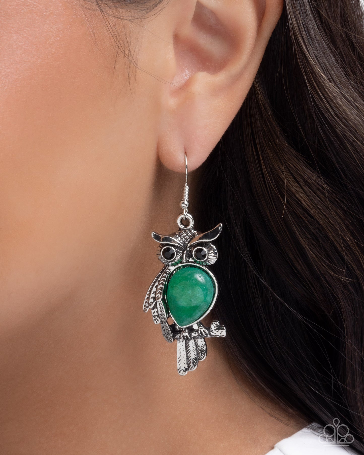 owl-observation-green-81472-p5se-grxx-172xx