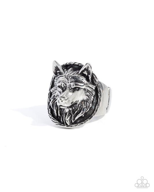 audacious-alpha-silver-81577-p4mn-ursv-065xx