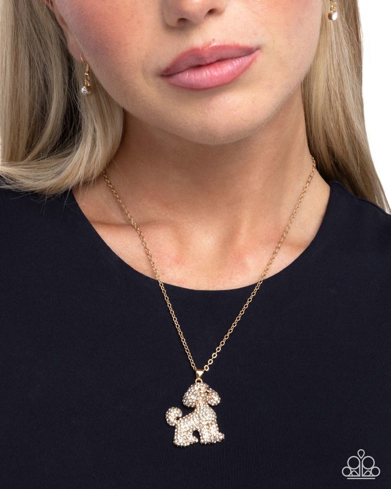particular-poodle-gold-82124-p2wh-gdxx-201xx