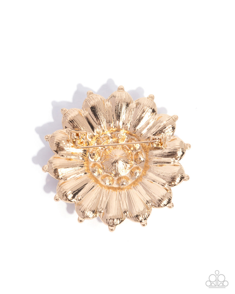 polished-panorama-gold-81226-p7br-gdxx-037xx