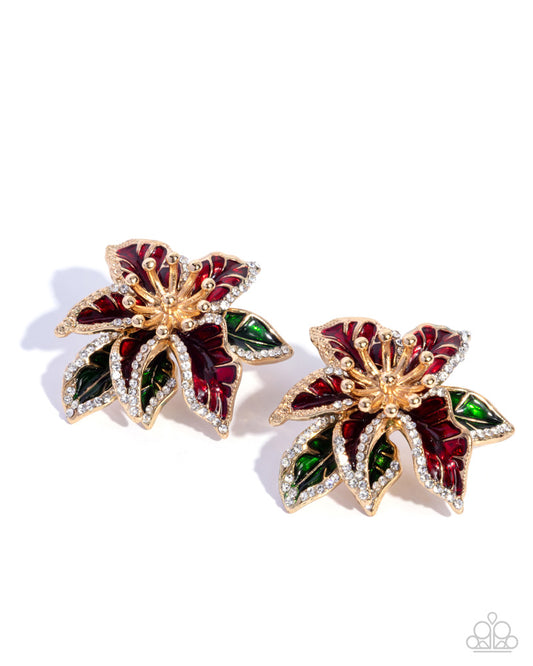 particular-poinsettia-red-81114-p5po-rdxx-110xx