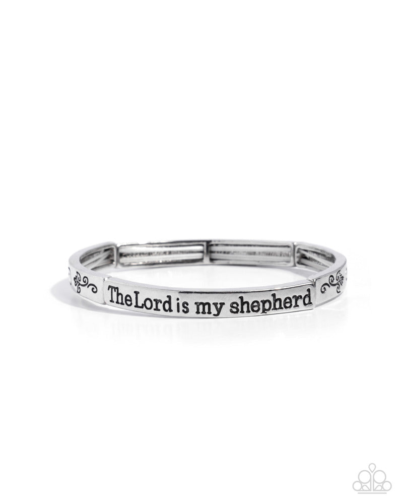 secure-shepherd-silver-82536-p9wd-svxx-273xx