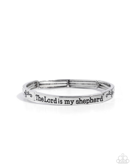 secure-shepherd-silver-82536-p9wd-svxx-273xx