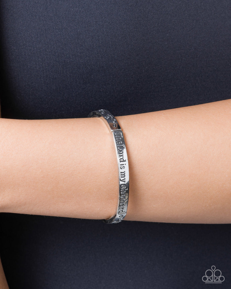 secure-shepherd-silver-82536-p9wd-svxx-273xx