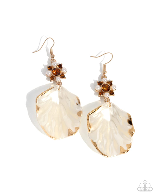 coastal-candidate-brown-p5re-bnxx-147xx