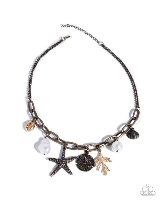 coral-collection-brass-p2re-brxx-239xx