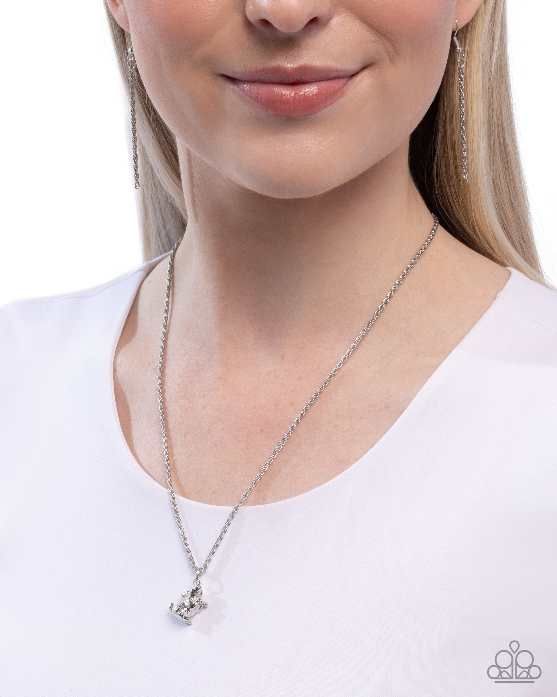 pet-rabbit-silver-p2da-svxx-328xx