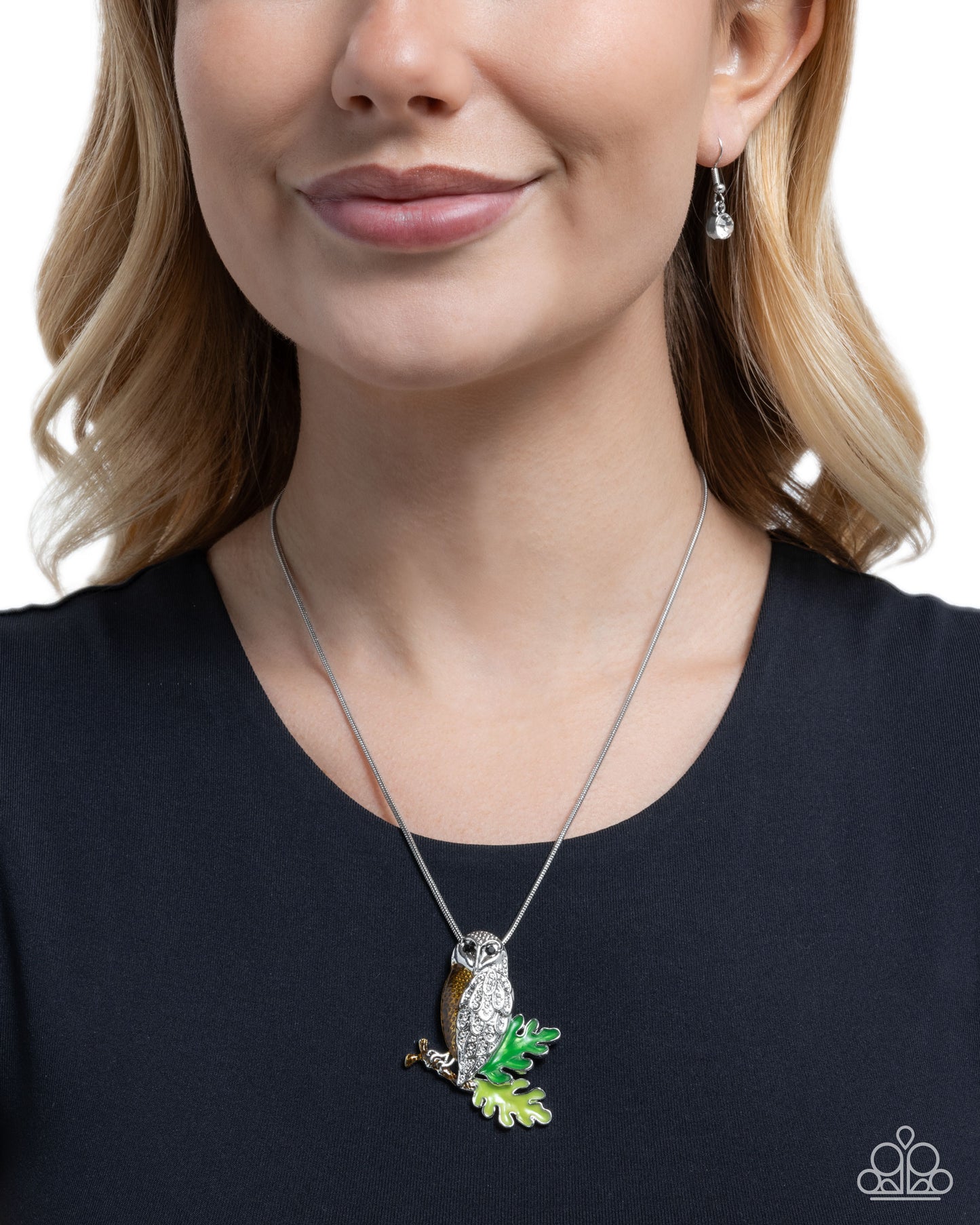 owl-order-brown-p2wh-bnxx-259xx