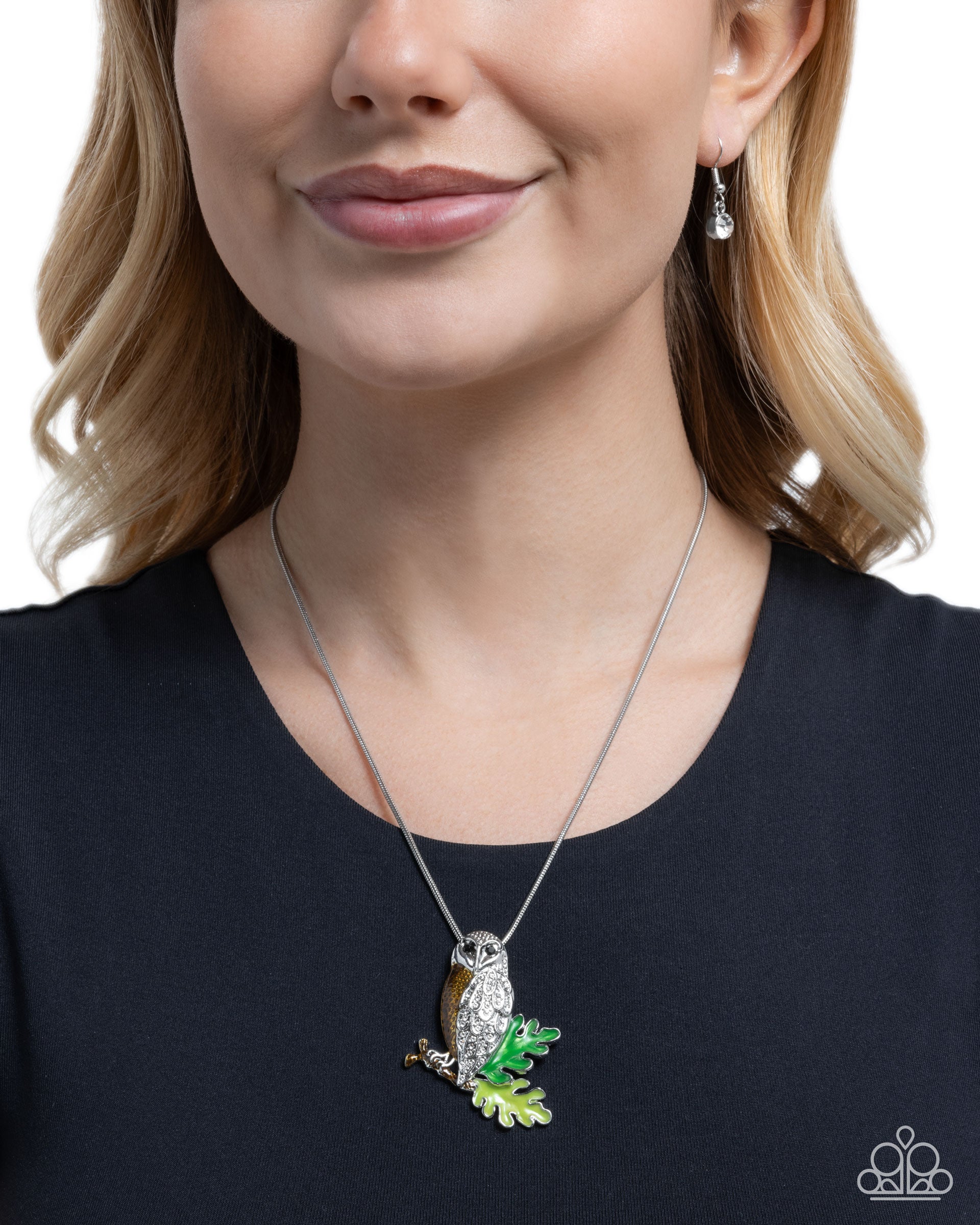 owl-order-brown-p2wh-bnxx-259xx