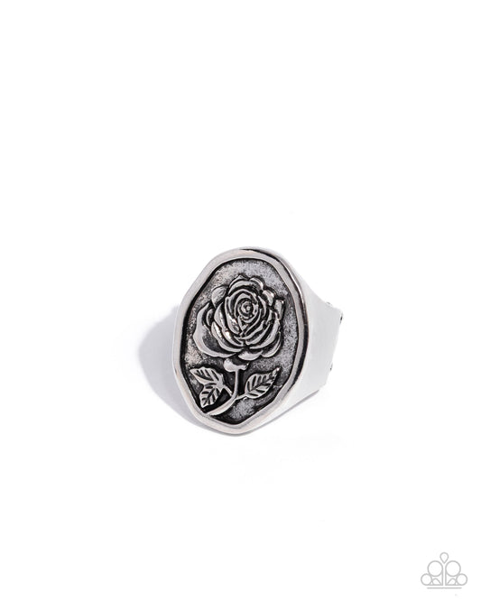 pleasing-portrait-silver-p4wh-svxx-218xx