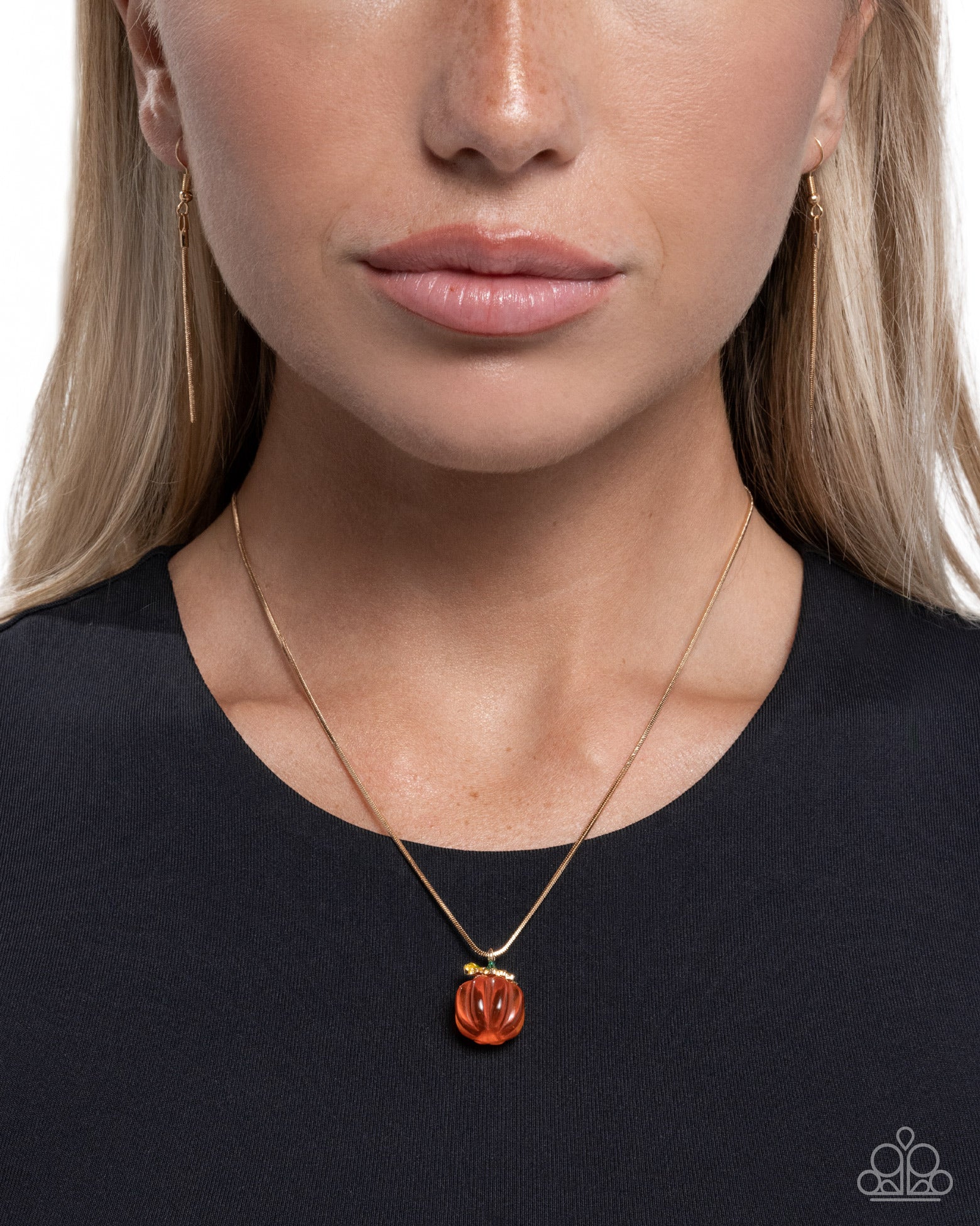 picturesque-pumpkin-orange-p2da-ogxx-099xx