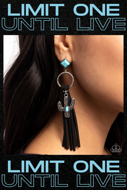 Paparazzi ♥ Southwestern Season - Black ♥  Post Earrings
