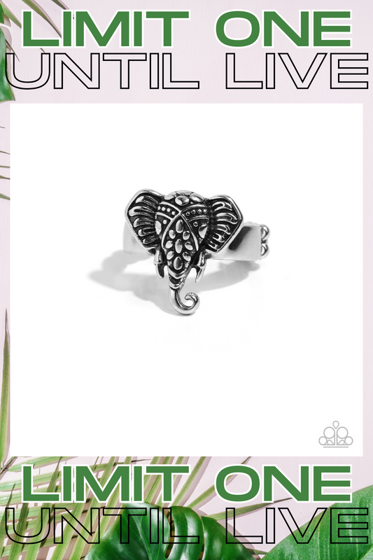 Paparazzi ♥ Elephant Whisper - Silver ♥ Ring