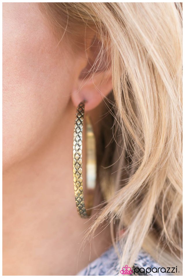 give-me-the-scoop-brass-p5ho-brxx-001xx