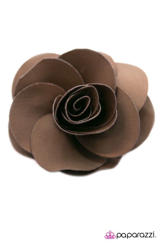 Paparazzi ♥ Teachers Pet - Brown ♥ Hair Clip