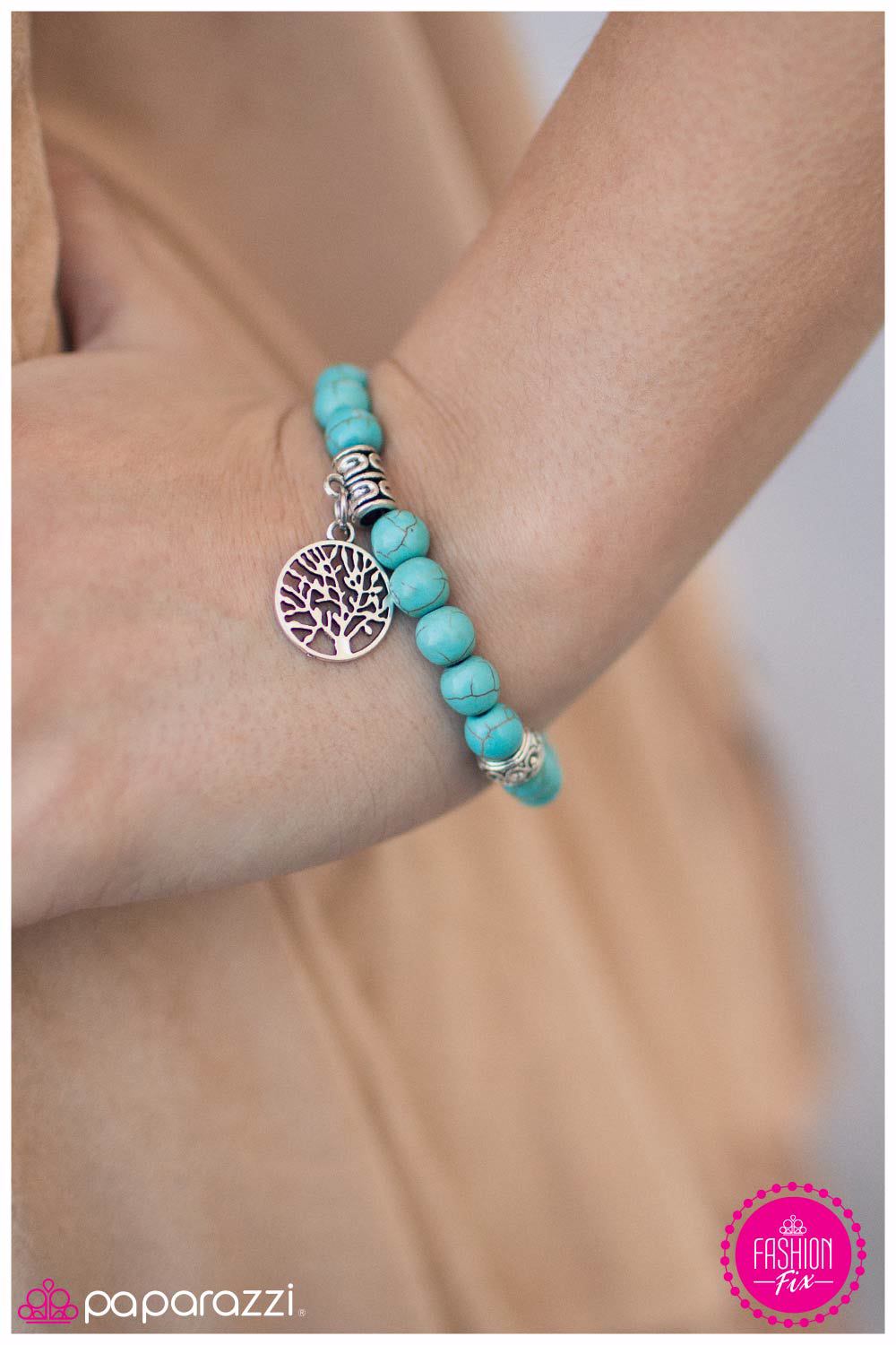 simply-santa-fe-complete-trend-blend-ssf-0316-ssf-0316