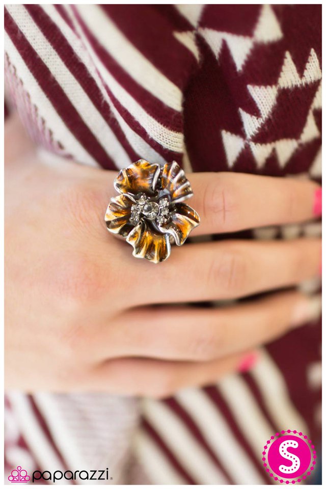 hymn-for-the-weekend-p4wh-bnxx-042xx